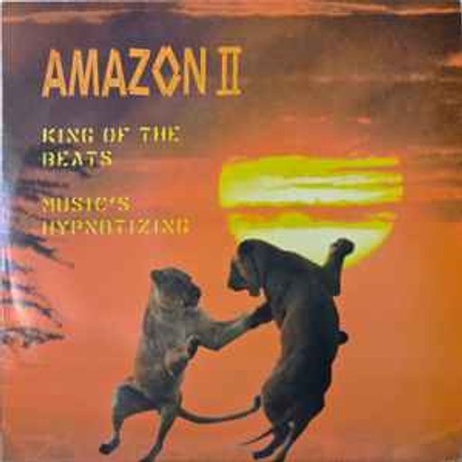 Amazon II