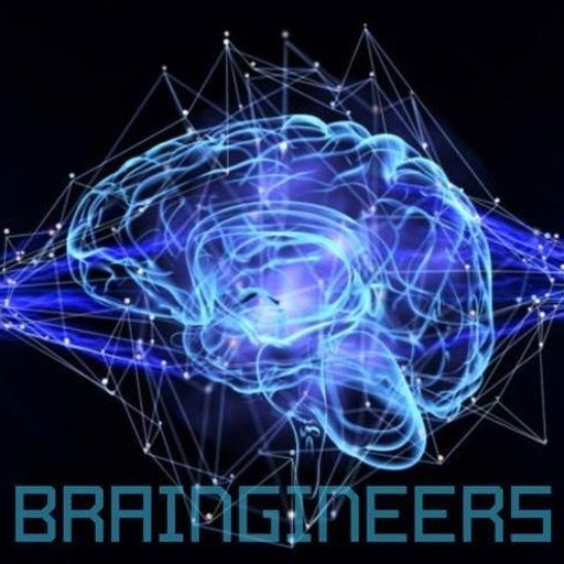Braingineers
