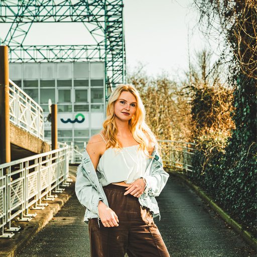 ILSE