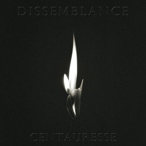 Dissemblance