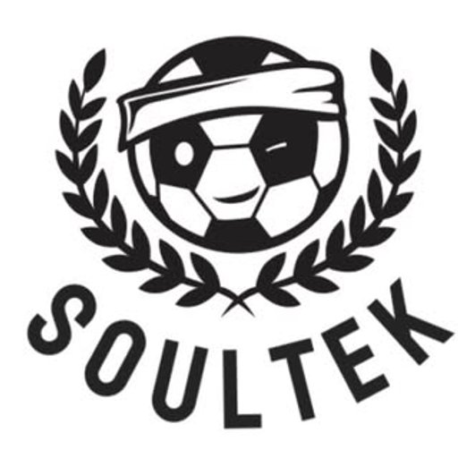 Soultek