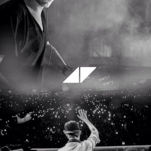 Tim Bergling