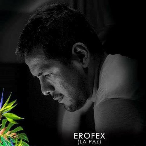 Erofex