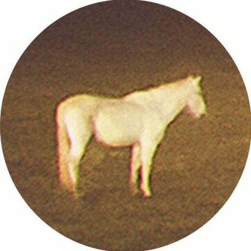 Nsqk