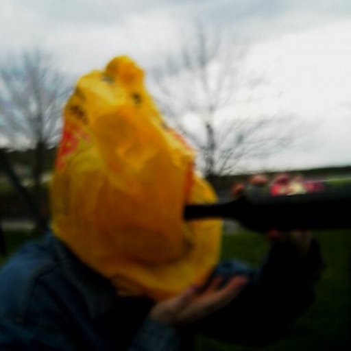 sunherd