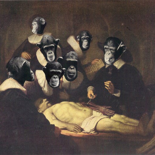 Ape Suit