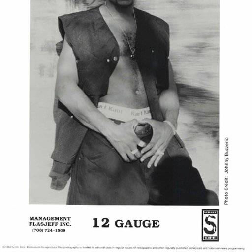 12Gauge