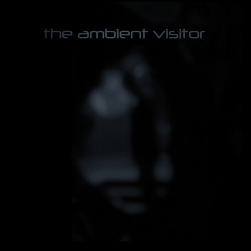 The Ambient Visitor