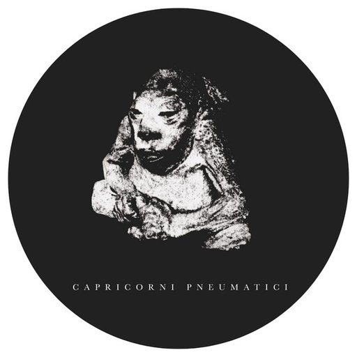 Capricorni Pneumatici